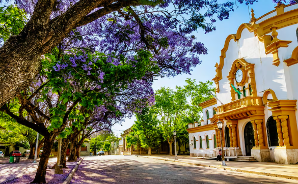 Fachada histórica del Palacio Municipal de Chascomús enmarcada por frondosos árboles de jacarandá en flor.